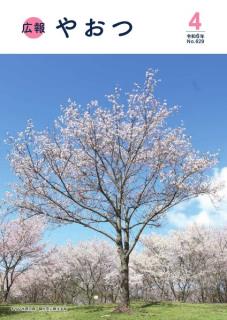 広報やおつ4月号表紙、キリン水源の森の桜。