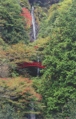 五宝滝の画像